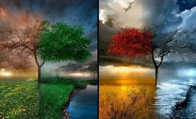 four-seasons